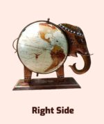 Elephant's Globe - Image 6
