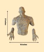 Human Torso Wall Sculpture - Image 2