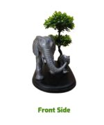 Golden Elegance Elephant Family Showpiece with Artificial Bonsai Tree - Image 3
