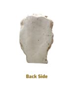 Royal White Lion - Image 2